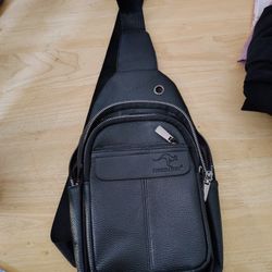 Backpack/Purse 