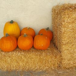 hay straw bales 