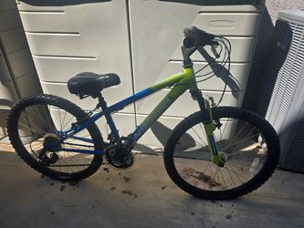 Nishiki kids bike 24"