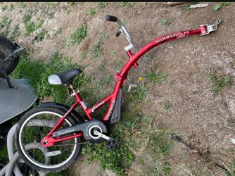 weeride Co-pilot Child Ride Behind Bike