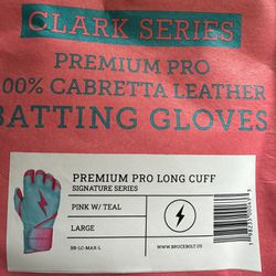 Bruce Bolt Max Clark Special Edition Batting Gloves