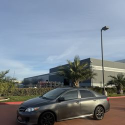 2010 TOYOTA COROLLA LE