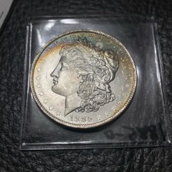 MORGAN DOLLARS 