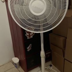 Stand Fan 