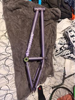 Sunday park ranger trans purple frame