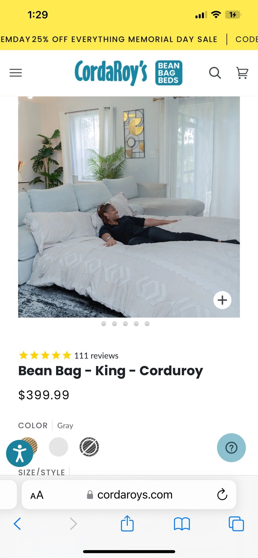 Bean Bag Chair / King Size Mattress
