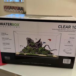 10 Gallon Aquarium 