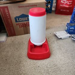 7 Days Dog Food Dish