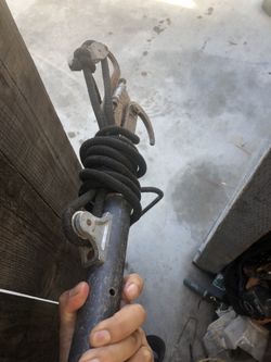 Tubo De Podar