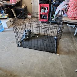 Dog Cage/Kennel