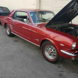 1966 Ford Mustang