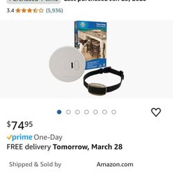 Pet Collar