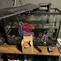 2 29 Gallon Fish Tanks