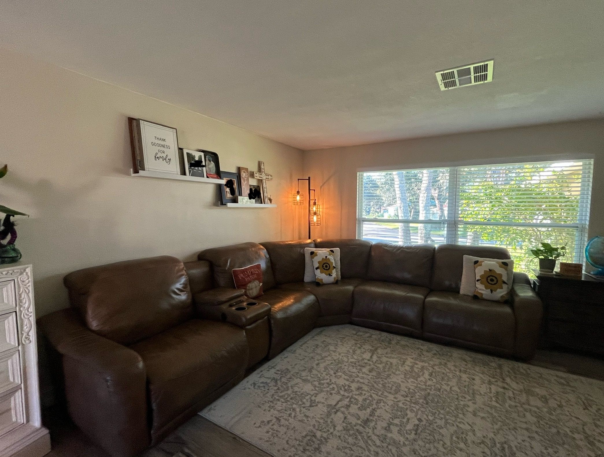 Brown Sectional Couch