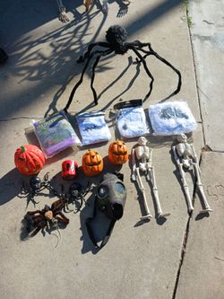 Halloween Decorations - All for $20