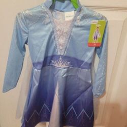 Elsa Costume Size 2