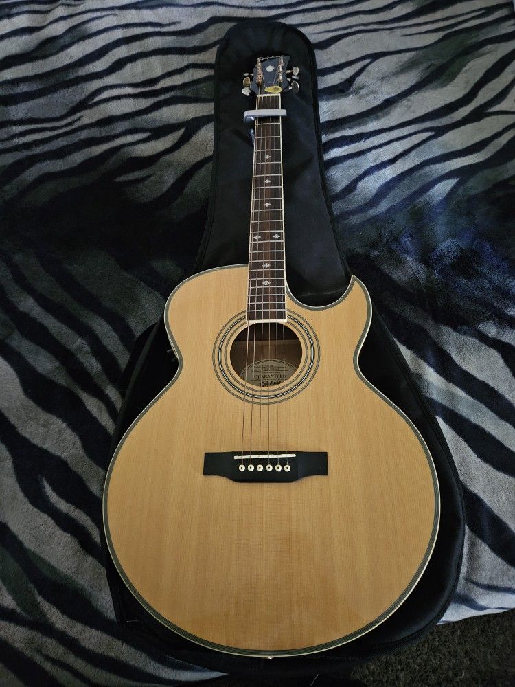 Acoustic Electric Guitar
