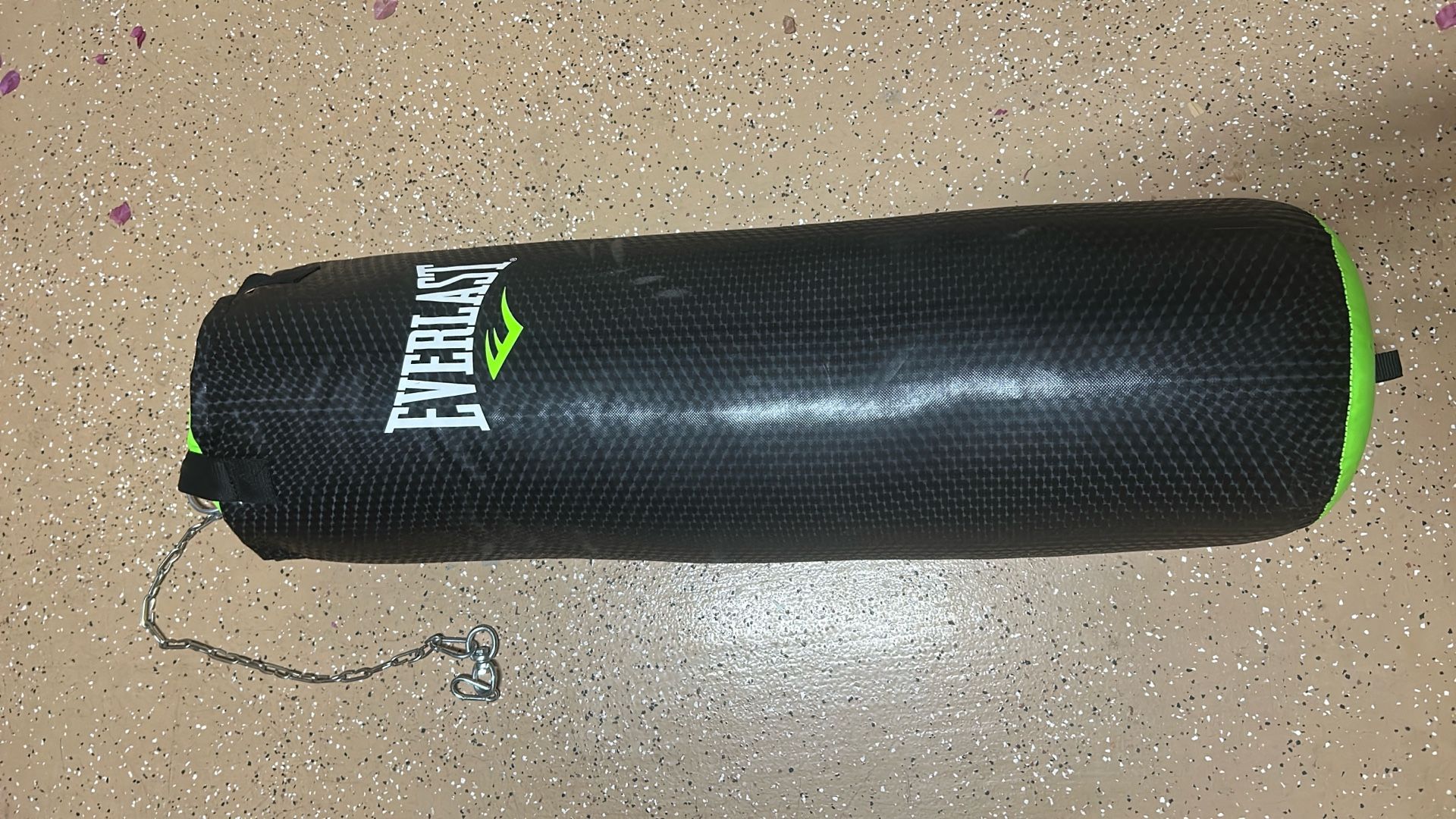 Everlast Punching Bag And Gloves