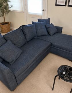 Sleeper Sectional Sofa with Storage Chaise