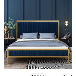 Navy Blue with Gold Design