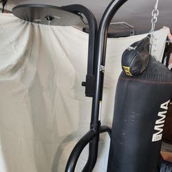 Everlast Dual-Station Boxing Stand with Heavy Bag & Speed Bag