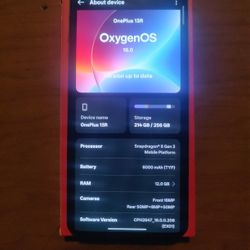 OnePlus 13R Unlocked 