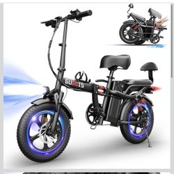 Gugois Electric Bike 