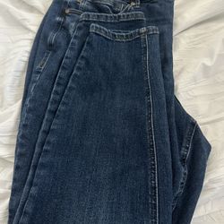 Plus Size Judy Blue Jeans 