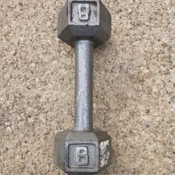 8 LB Pound Dumbbell Cast Iron Hex Head Weight Training Lifting