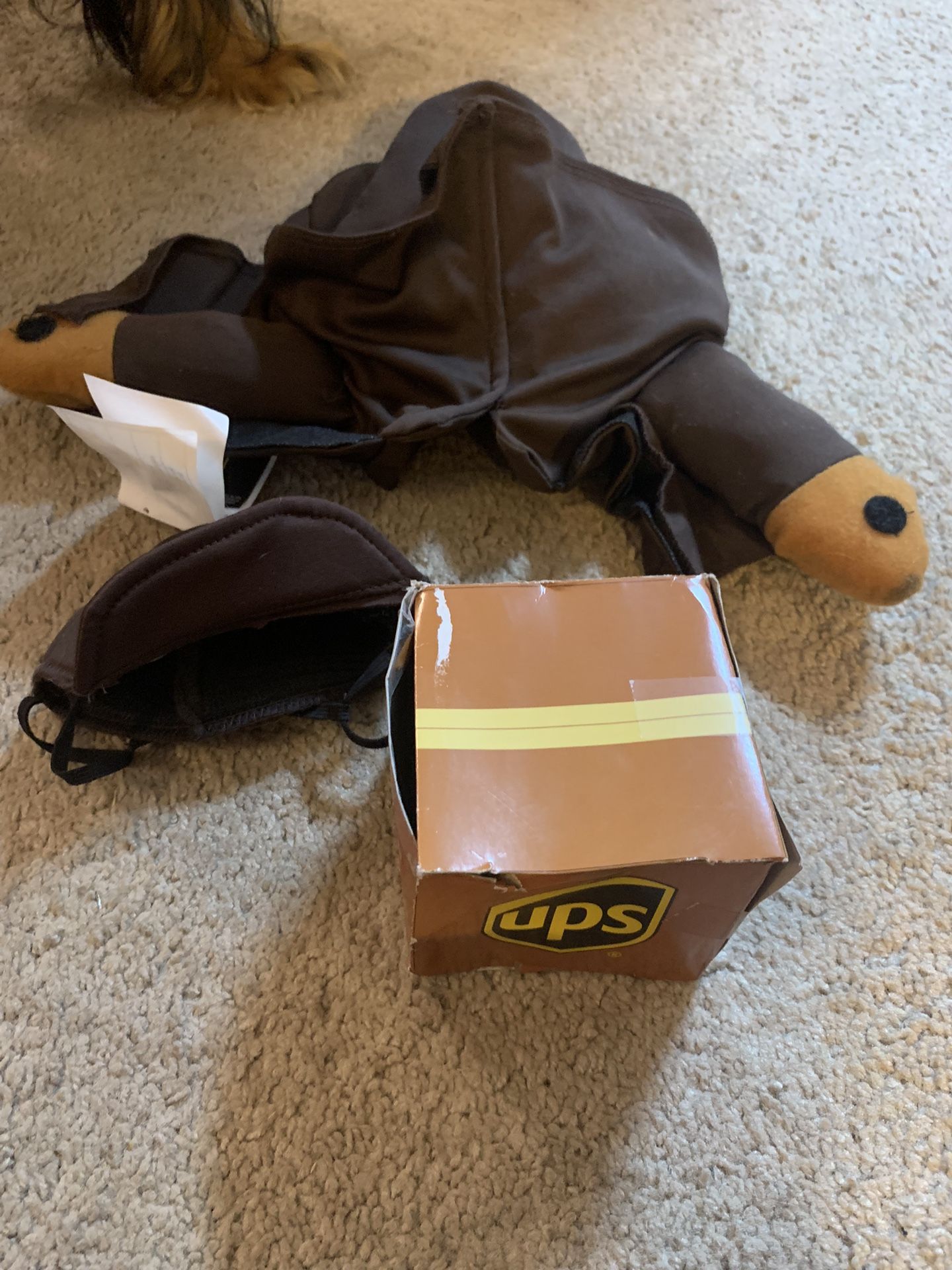 UPS man dog costume