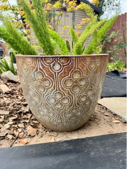 Planters