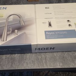 Kitchen faucet - Reyes Single-Handle Pull-Down Sprayer Kitchen Faucet