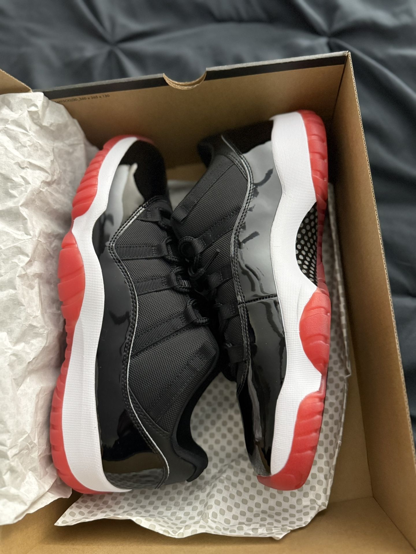 Jordan 11 Low