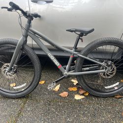 REI bike - REV 24 