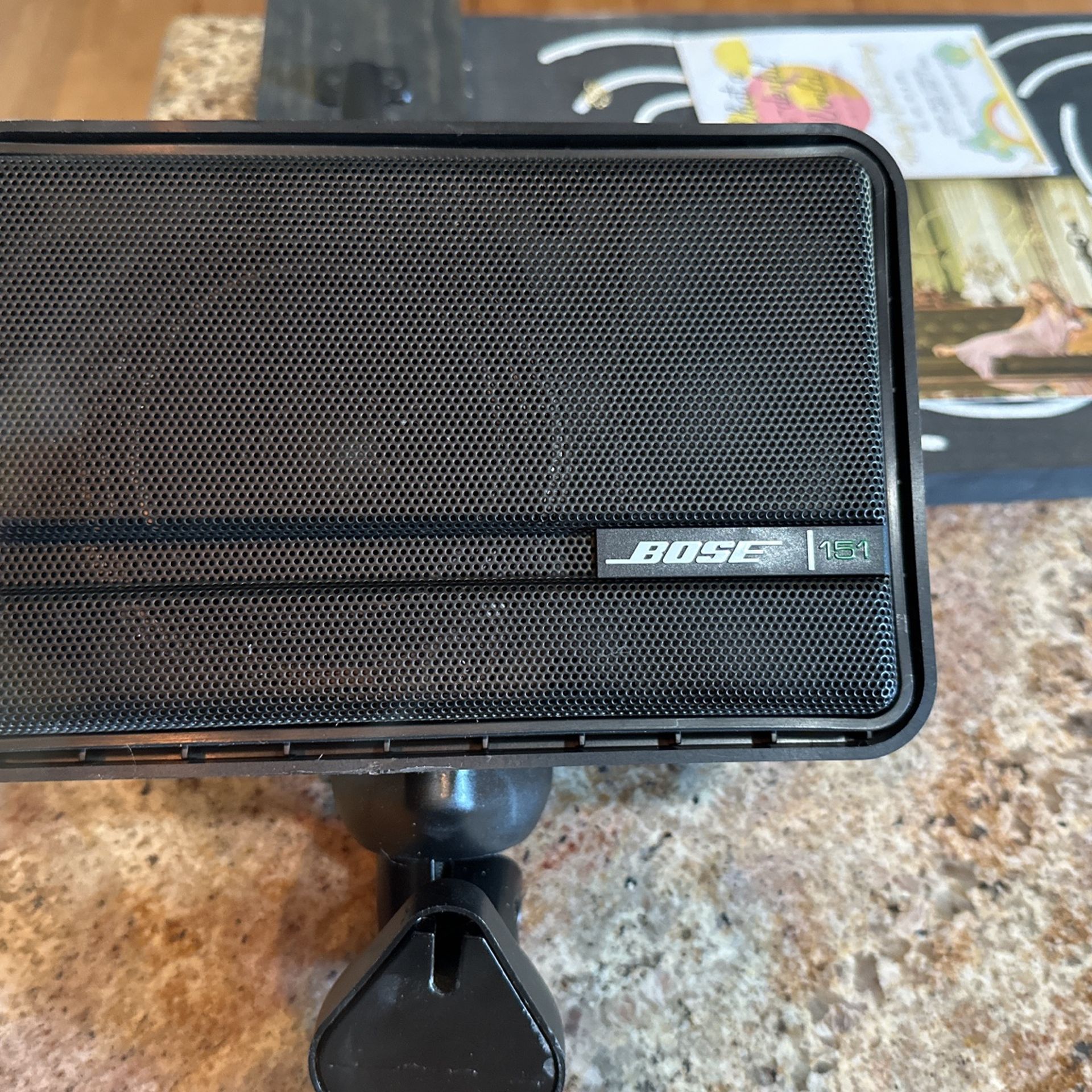 Bose 151 Environmental Speakers