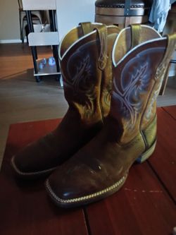 Ariat ATS 9.5 EE