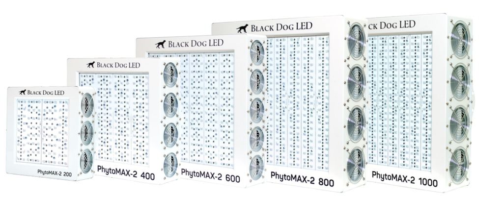 Blackdog Led PhotoMax 2 1000W