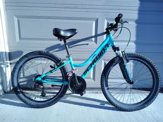 Schwinn High Timber