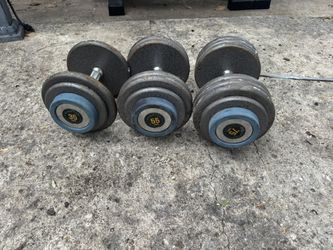Misc Hampton Dumbbells