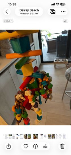 Bird toy
