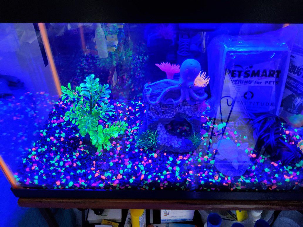 10 Gallon Fish Tank With Neon Lighting