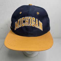 Vintage Michigan Wolverines Hat 
