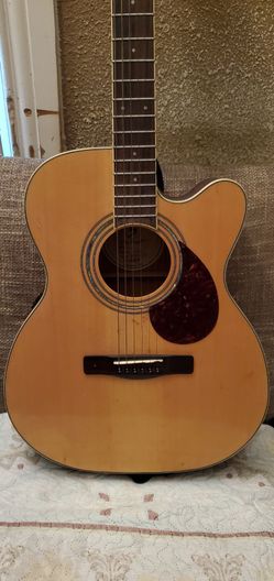 Guitar Greg Bennett