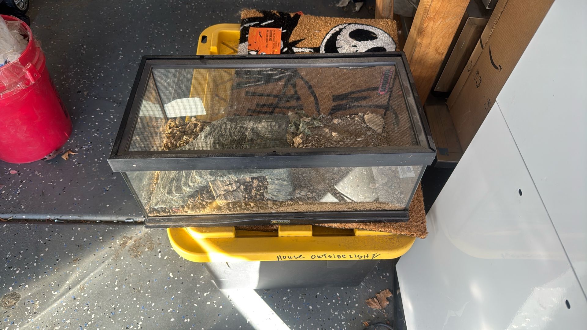 Zoom In Small Terrarium