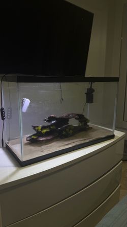 Glass Aquarium Tank with Filter and light