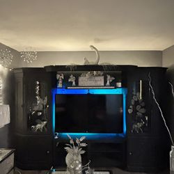 Entertainment Center 