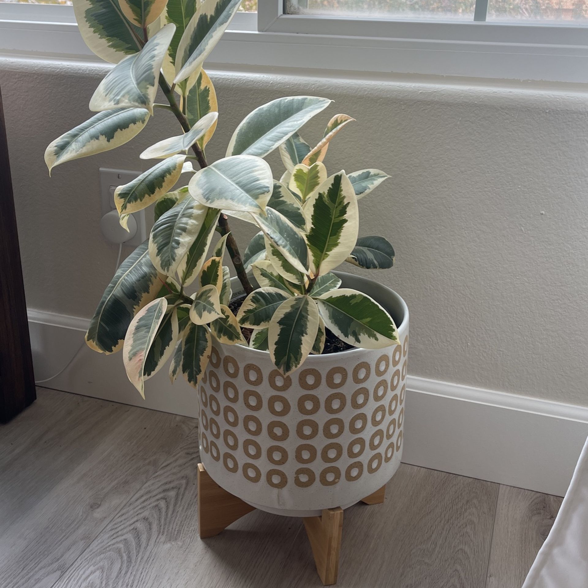 Plant Pot With Stand