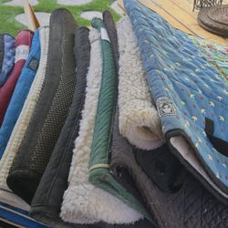 Horse Blankets