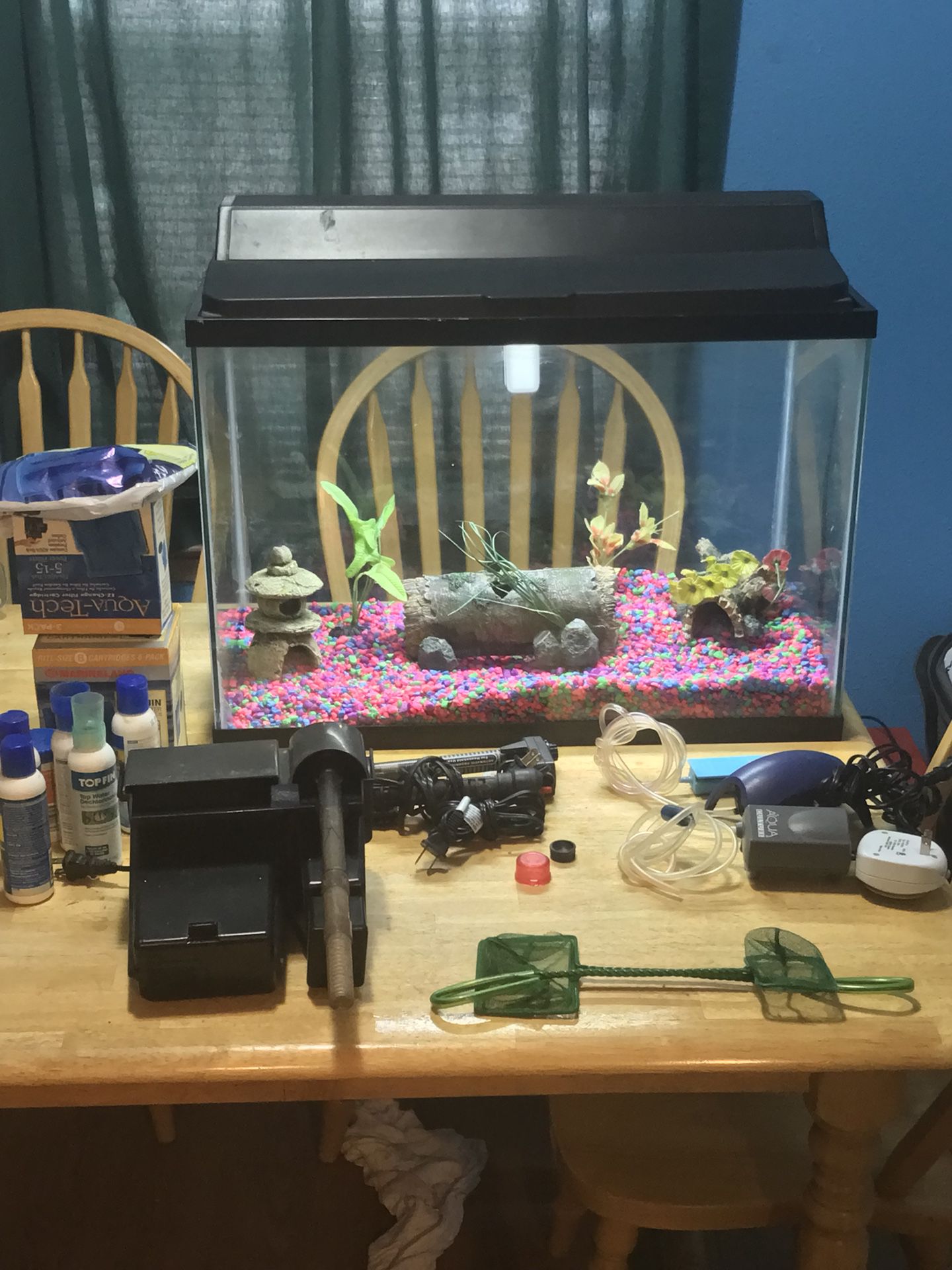 Fish tank with the necessary stuff