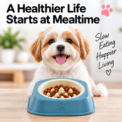 Slow Feeder Dog Bowl – Red or Blue